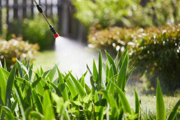 24/7 Emergency Wasp Removal experts in Lincoln Beach, OR