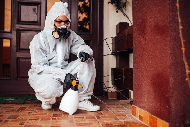 Reliable Wasp Removal contractor in Lincoln Beach, OR by Show Me Pest Control